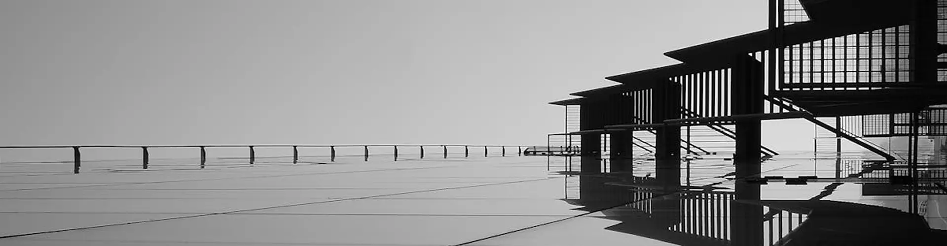 banner-新闻中心